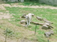 -无锡动物园·太湖欢乐园