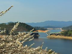 -广州市流溪河国家森林公园