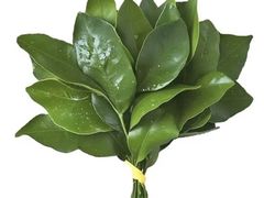 -船说蒸汽海鲜·渔民捕捞直供(凤凰路店)