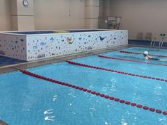 -阳光游泳培训(北苑店)