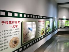 -上海昆虫博物馆