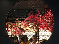 -捞王猪肚鸡火锅(财富中心店)