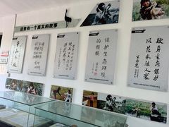 -盐城丹顶鹤湿地生态旅游区