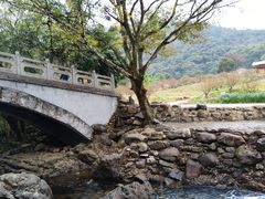 -广州市石门国家森林公园