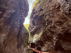 -牛背梁国家森林公园