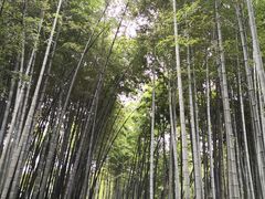 -杭州黄龙洞