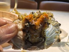 -杨氏青龙虾·羊蝎子(金盛路总店)
