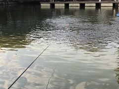 -酷鱼垂钓CLUB(朝阳区博大路店 )