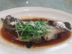 -国贸旋转餐厅(国贸广场店)