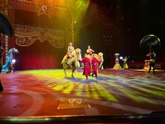 -珠海横琴长隆《卡卡虎奇遇记》