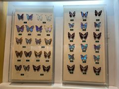 -陕西自然博物馆