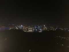 -大金鹰园