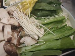 -肚社毛肚火锅