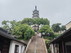 -苏州上方山国家森林公园