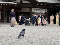 -热田神宫