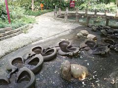 -成都市活水公园