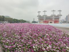 -海心沙亚运公园