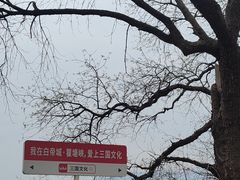 -白帝城·瞿塘峡景区