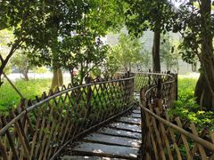 -小洲村