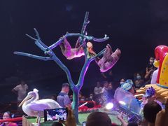 -广州长隆国际大马戏