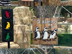 -宁波野生动物园
