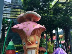 -苏州乐园森林水世界