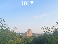 -滨河世纪广场公园