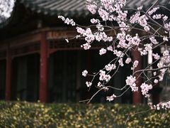 -迎泽公园