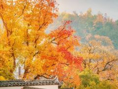 -塔川景区