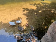 -黑龙潭风景区