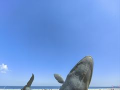 -烟台金沙滩海滨公园