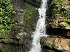 -碧峰峡风景区