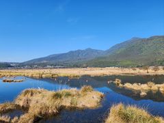 -腾冲北海湿地