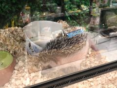 -狗道宠物(常熟印象城店)
