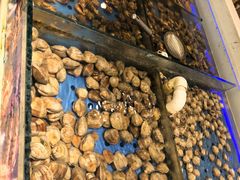 -藜爱·山海情海鲜自助(万达广场店)