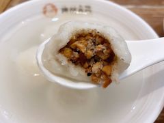 -海丝金凤(金鱼店)