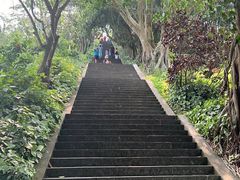 -海口火山口国家地质公园