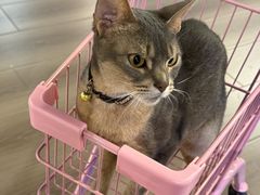 -NRG健身私教CLUB(打浦桥店)