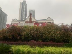 -禾丽康美医疗美容医院