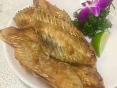 魚排翅-海龙珠海鲜餐厅
