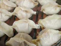 -老马家蒸饺(南海街店)
