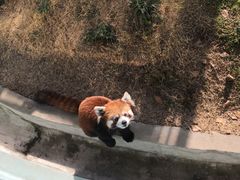 -无锡动物园·太湖欢乐园