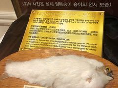 -信不信由你博物馆