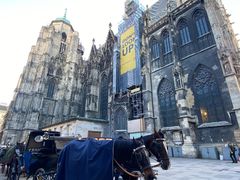 -斯蒂芬主教座堂(Stephansdom)