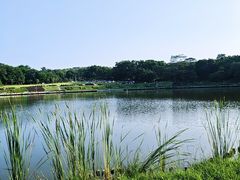 -东莞植物园