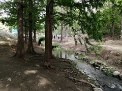 -白水寺森林公园
