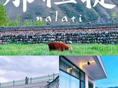 -新疆那拉提国家旅游度假区