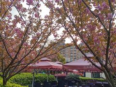 -荷风细雨·中国茶宴(碧云店)