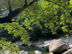 -鄣山大峡谷