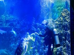 -嘉兴海底世界